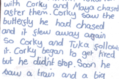 corky page6:<br />"Corky ran to Tuka and yelled "Run it's MAYA!!!" Tuka ran with Corky and Maya chased after them. Corky saw the butterfly he had chased and it flew away again. So Corky and Tuka followed it. Corky began to get tired but he didn't stop. Soon he saw a train and a big red bus. He recognised his friends house and his school."
<br />felt tip on paper