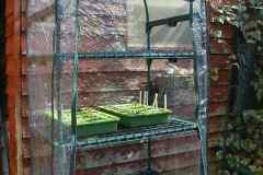 Jamie's new mini greenhouse